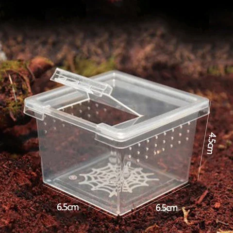 

Acrylic Reptile Cage Feeding Box 1pcs Hatching Container Rearing Tank for Lizards Terrarium Tortoise Spider Beetle Insect House