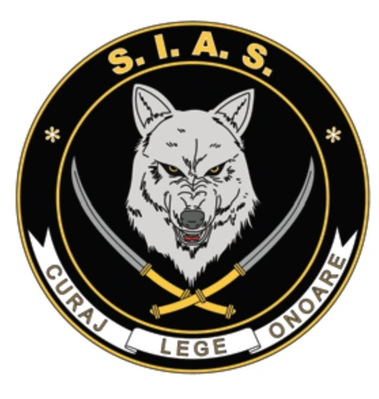 

Jpct Car Decal waterproof sunscreen scratch private custom vinyl cool car accessories for all cars 26cmpvc