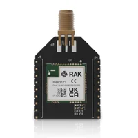 RAK3272S | RAK3172 Breakout Board 1