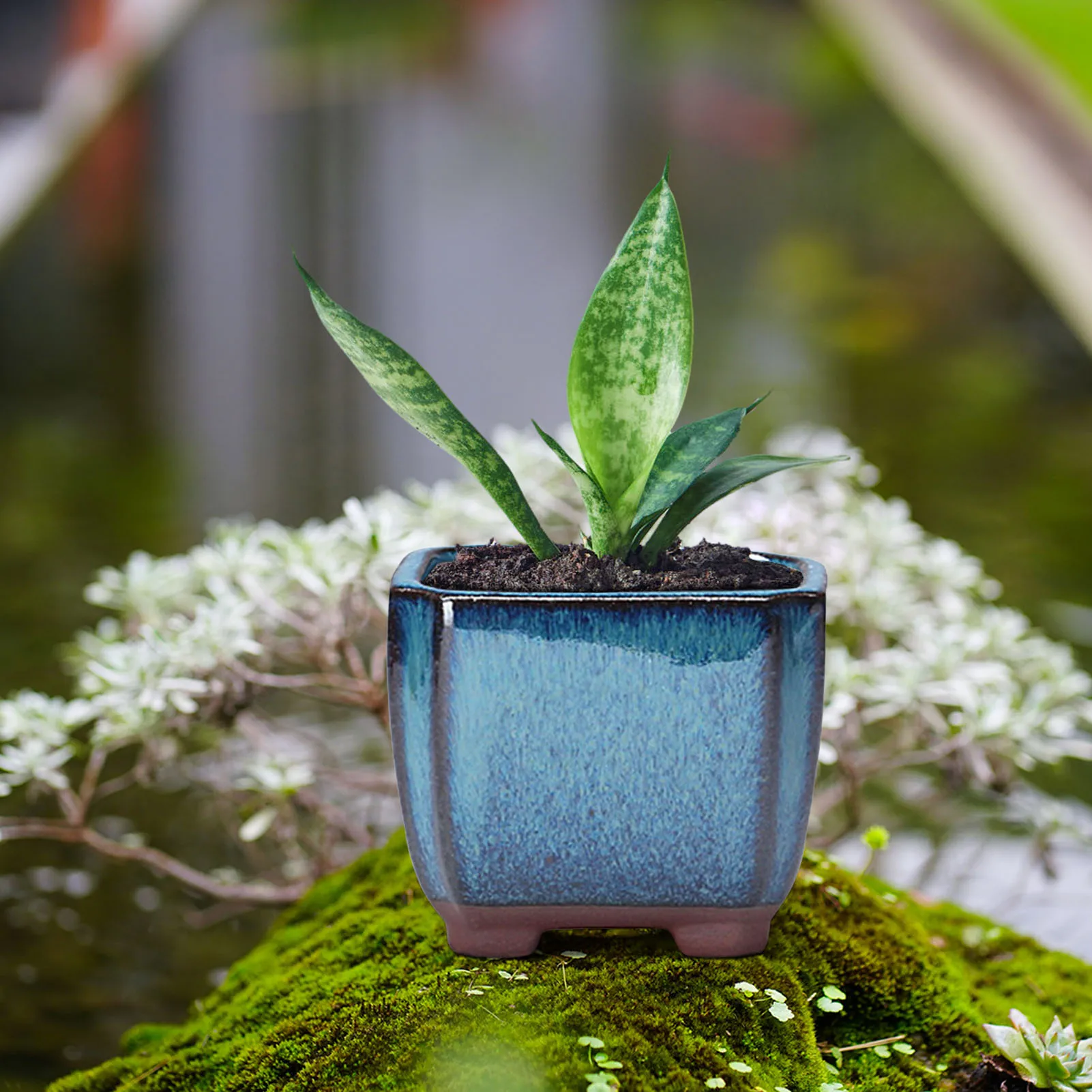 Enhanced Ceramic Succulent Planter with Vent Design