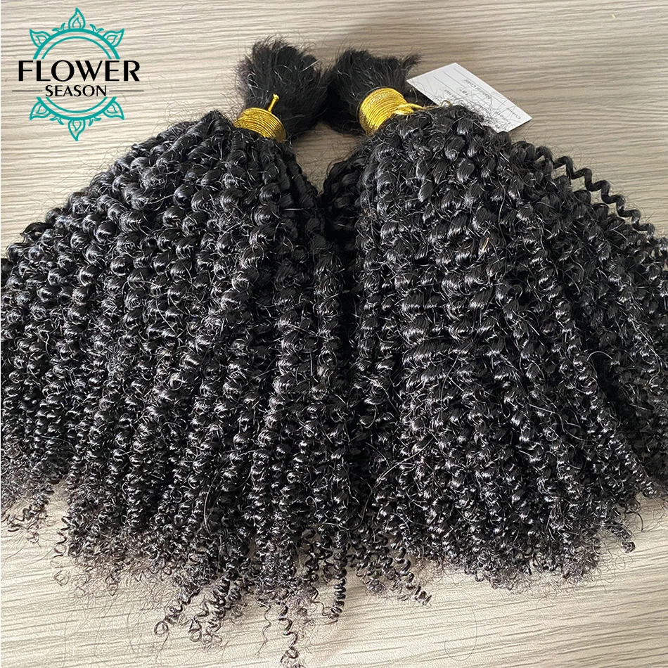 Sassy Curly Brazilian Human Hair Bulk for Braiding No Weft Extension  Unprocessed Remy Hair Weaving Micro Braids 100g 1Piece