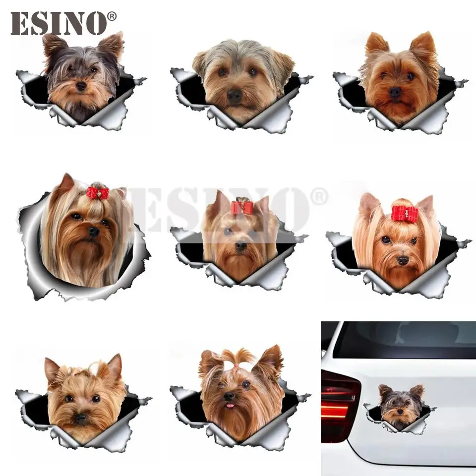 Libro da colorare Yorkshire Terrier per bambini dai 48 anni, linea