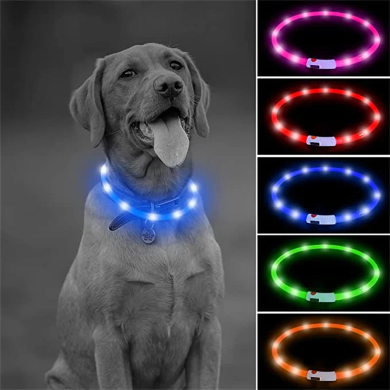 AUAUY 2PCS Luz Perro Noche, USB Collar de Perro Colgante con Luz Led, 4  Modos Luz para Perros de Noche, IP68 Impermeable Luz Collar Perros, Luz  para