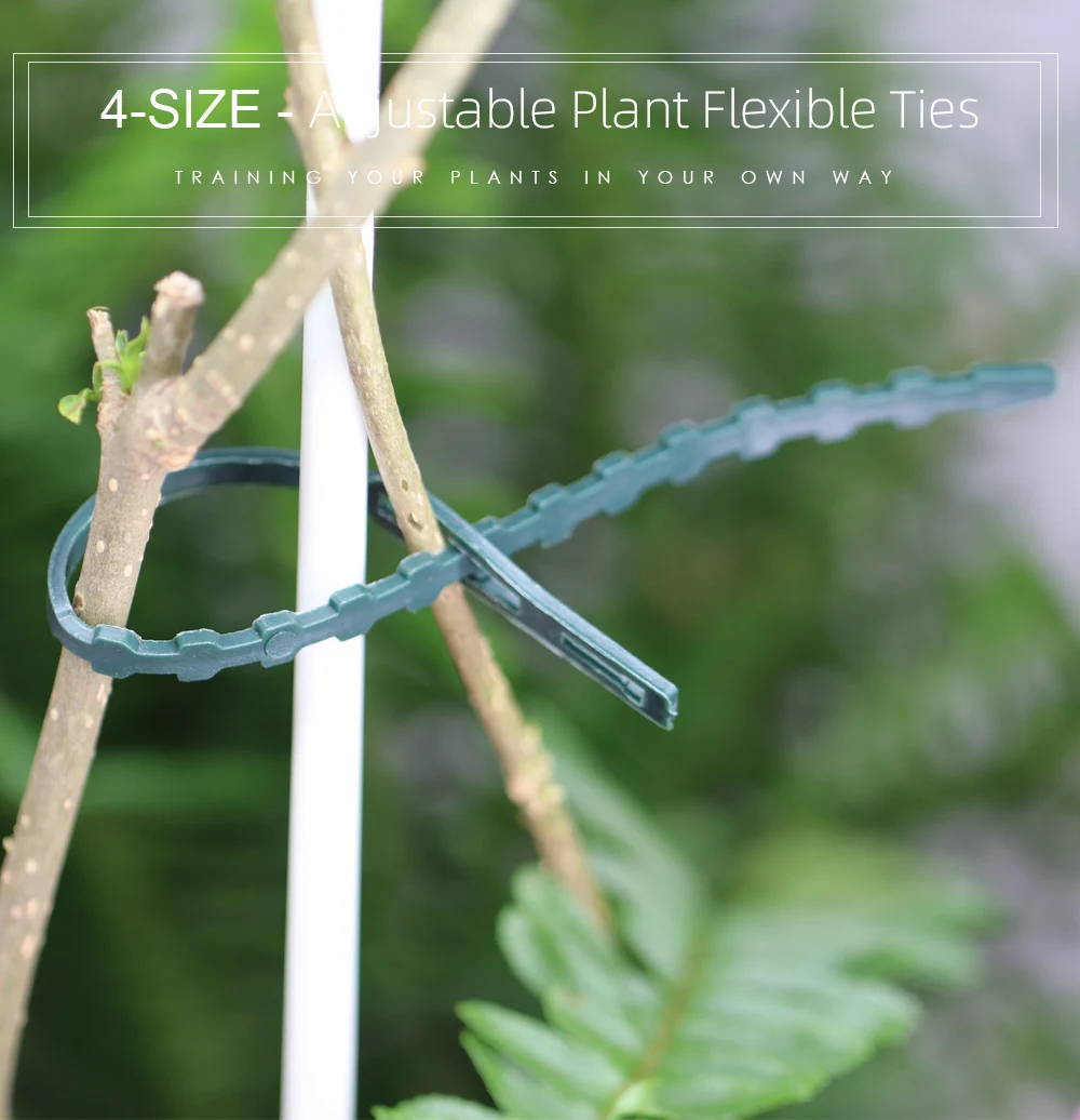 Ruban De Soutien Pour Plantes Réutilisable – Attaches Vertes Ajustables Pour Tuteurs, Semis Et Jardinage