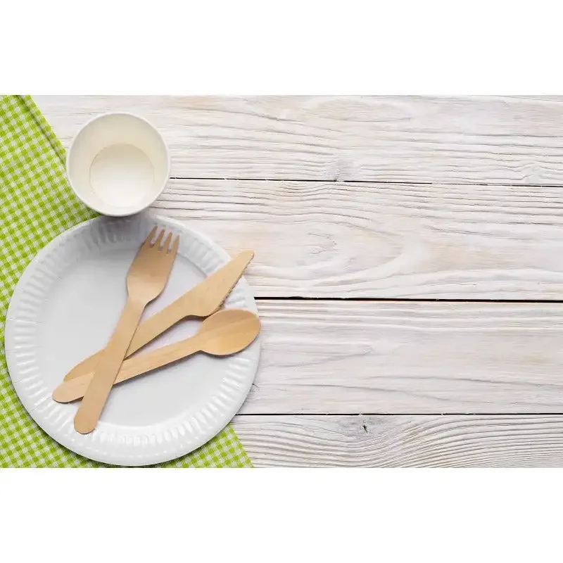 9 Inch Paper Plate Uncoated Plates White, 200ct