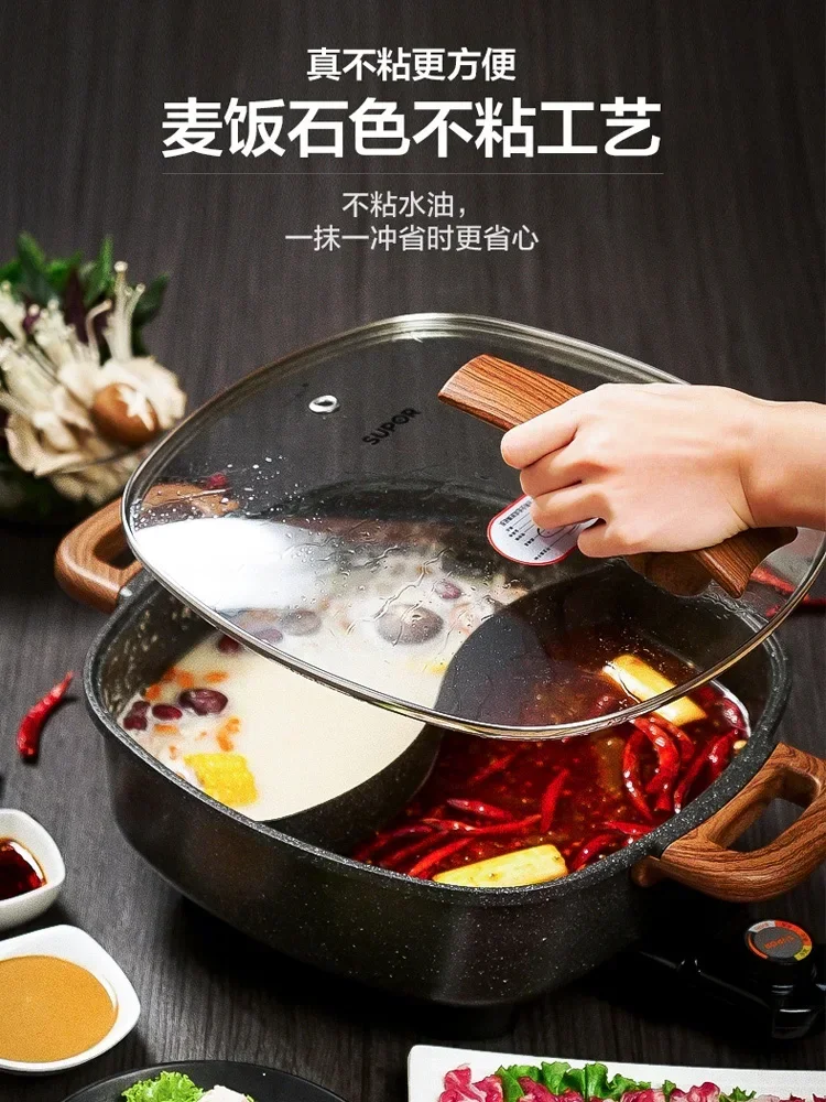 220V Multi-Functional Electric Hot Pot with 6L Capacity and Ying Yang Design 2