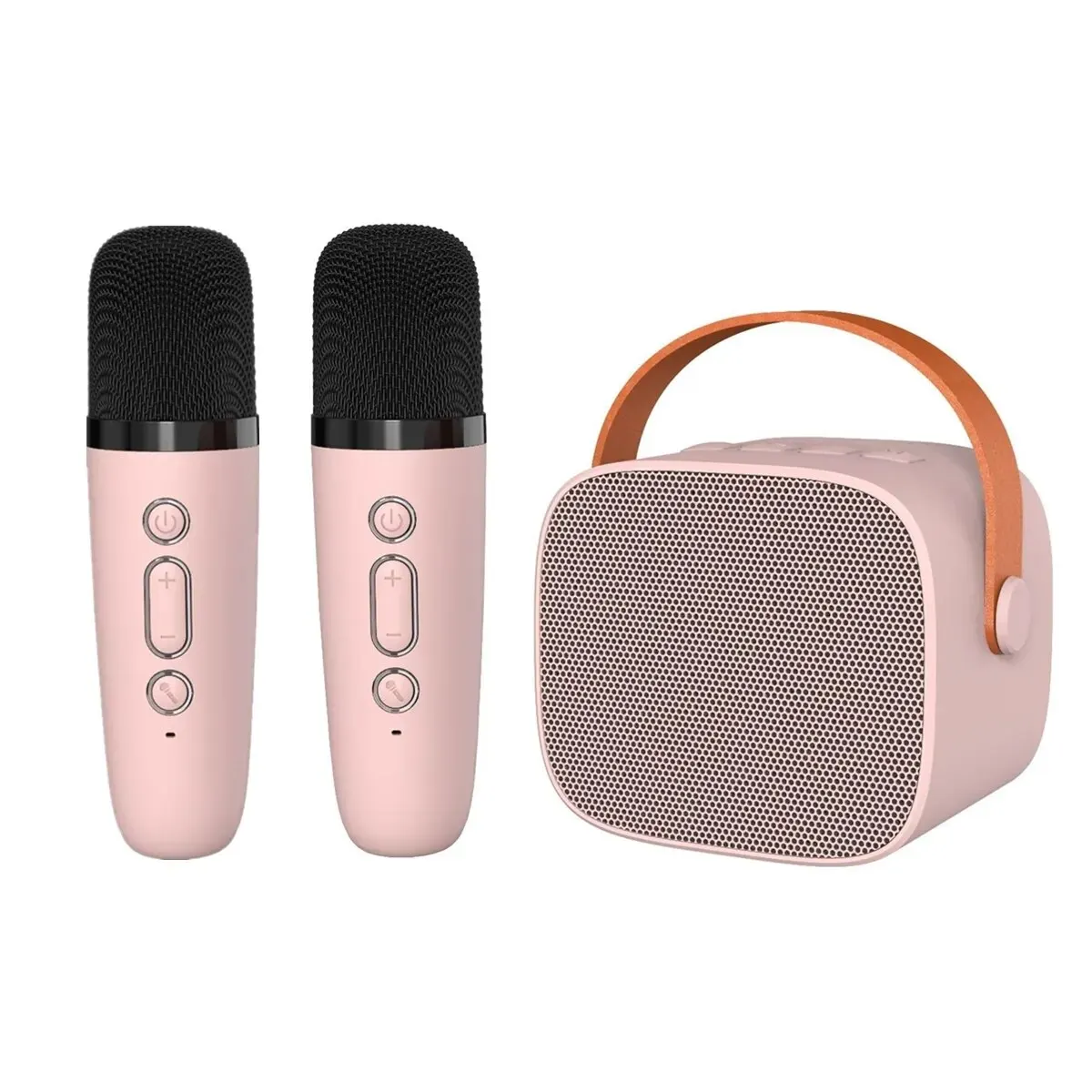 Pink 2 Mic