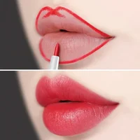 Nude Lipliner Lipstick Pencil Waterproof Matte Sexy Red Pink Contour Tint Lipstick Lasting Non-stick Cup Lips Makeup Cosmetics 2