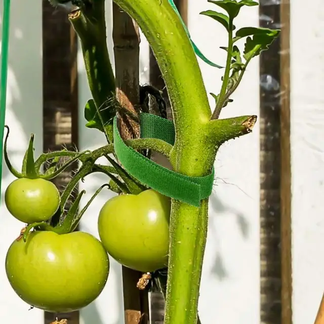 Xiaomi Plant Ties Nylon Hengerelt Öv Kábelkötegek Növényi Tartó Kerti Szalag Kötés Kötődő Tartozékok - Image 4