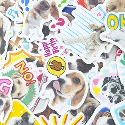 40pcs Cute Pet Holiday Party Stickers - 11X8X2CM (40PCS)
