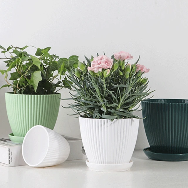 Plastic Planter Pots for Plants 5 Pack 6 Inch Flower Pots with Drainage  Holes and Saucers for Indoor Outdoor - AliExpress