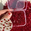 50pcs Mini Ribbon Resin Bow Nail Charms Cute Bowknot Butterfly 3D Rhinestone For DIY Korean Manicure Decoration 2