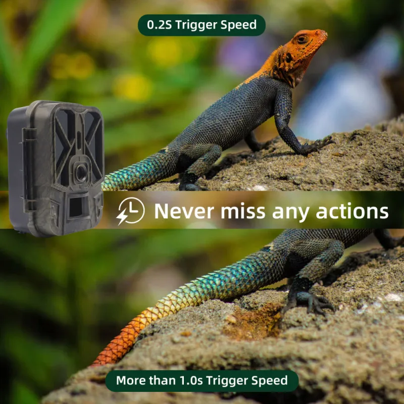 Hunting Trail Camera Trail Camera Outdoor 50MP 4K With 8000Mah Lithium Battery Night Vision Photo Traps Wild Surveillance Trap Game Cam