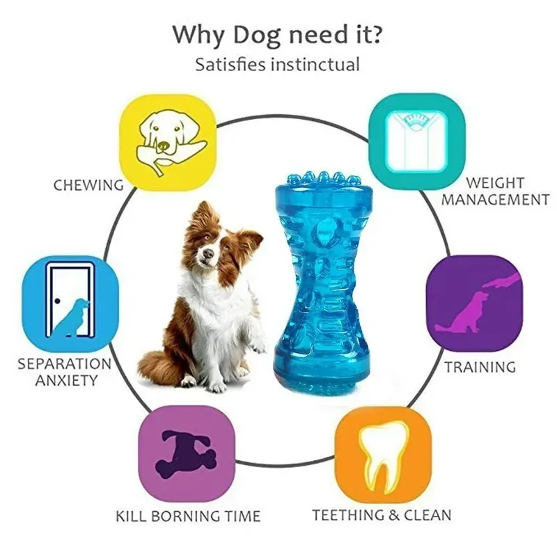 Sound pet toy sturdy bite-resistant bone chew stick dog toy Toothbrush Bone Sturdy Interactive Puppy Game Toy Pet Accessories 6