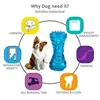 Sound pet toy sturdy bite-resistant bone chew stick dog toy Toothbrush Bone Sturdy Interactive Puppy Game Toy Pet Accessories 6