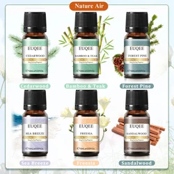 Fragrance Oil Gift Set - Coffee, Pumpkin Pie, Forest Pine & Sweet Fruit Scents (6pcs) - 10ml (Nature Air)