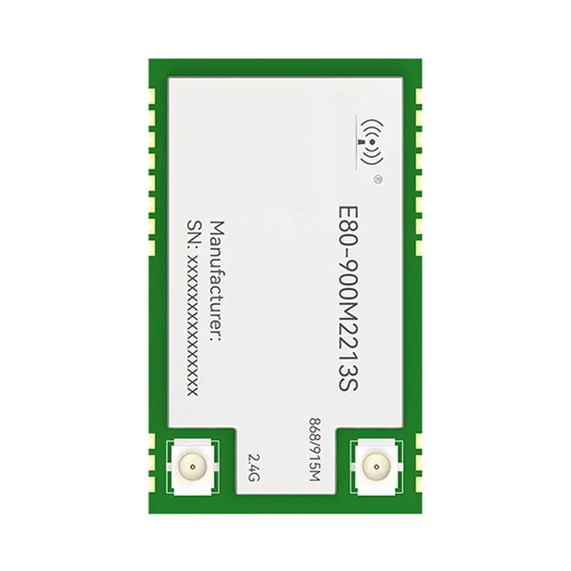 【RECOMENDAR】2X LR1121 Lora 스프레드 스펙트럼 모듈 듀얼 밴드 868Mhz 915Mhz 2.4G SMD TCXO CDEBYTE E80-900M2213S SPI RF 모듈 서브-모듈