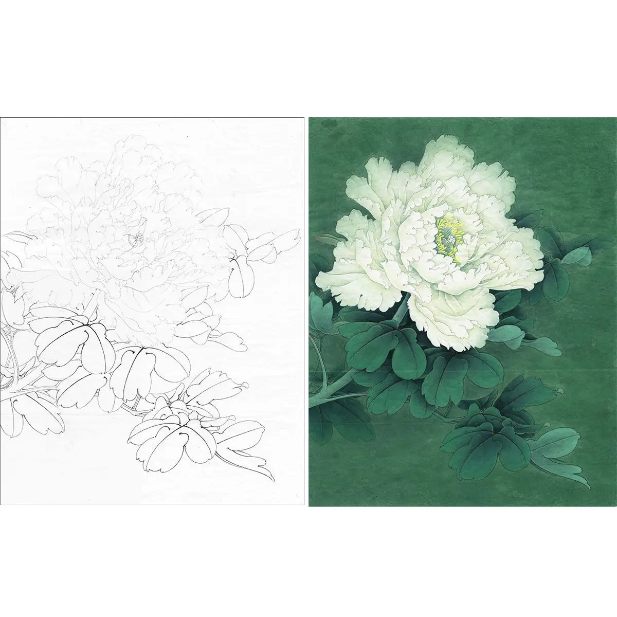 中國  手書花鳥 トーハク東洋館でググッと来た、中国の花鳥画（02）｜かわかわ