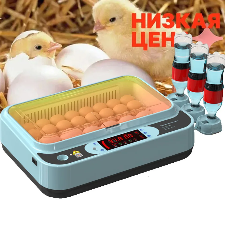 Machine à laver les œufs de caille, bonne qualité, prix d'usine, petit  poulet canard d'oie, nettoyeur d'œufs, offre spéciale - AliExpress