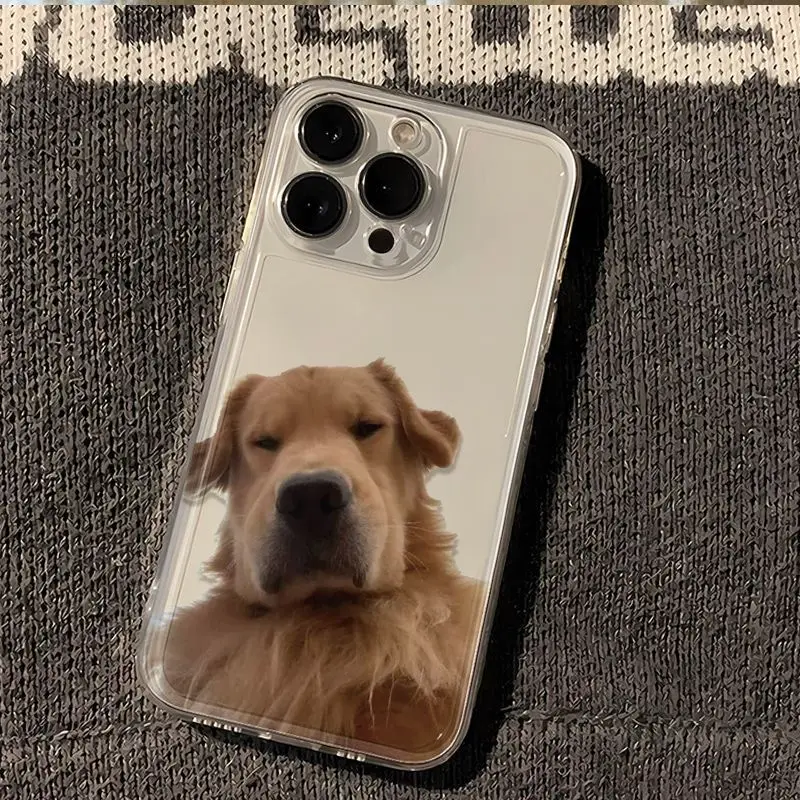 Funny Golden Retriever Clear Phone Case For iPhone 16 15 11 12 14 13 Pro Max Mini X XSMax XR 7 8 Plus SE4 16e Silica Cover Funda 6