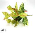 A21