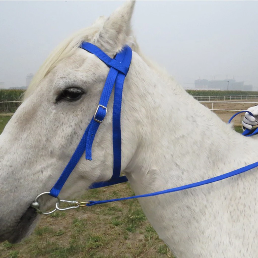 Horse Bridle Horse Rein Headstall Thickened Halter Equestrian Accessories Removable Snaffle Nylon Webbing Horse Riding Equipment