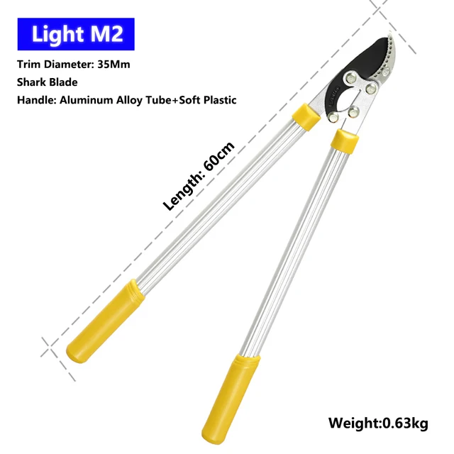 Light M2