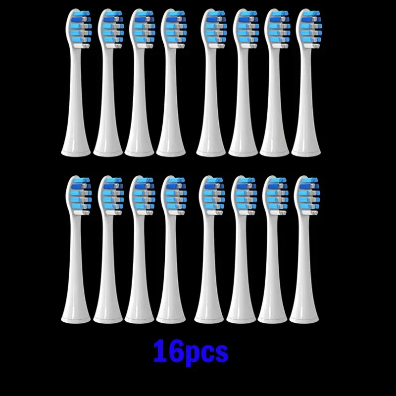 16P P3