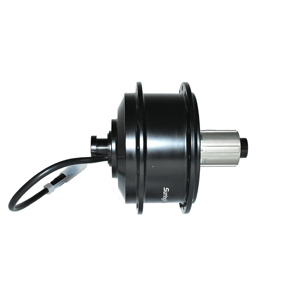 36V 250W Inner Rotor Hub Motor Electric Bike Thru Axle Rear