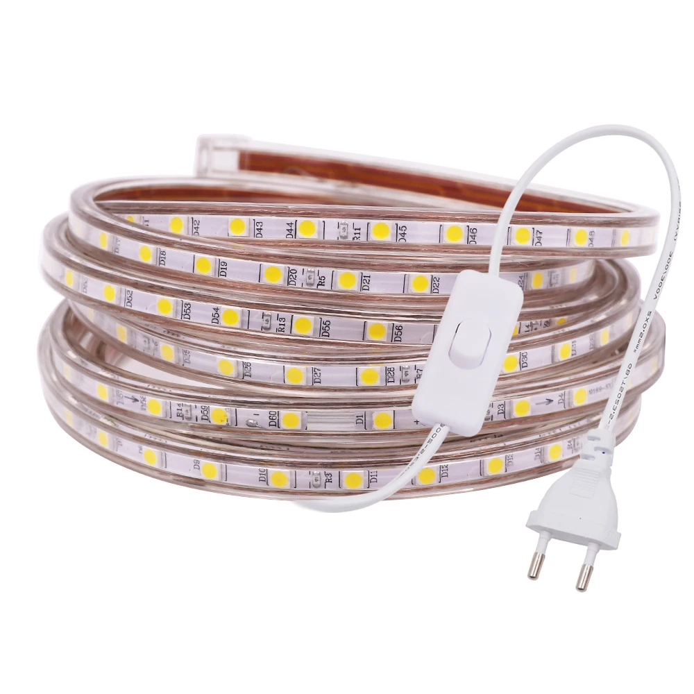 220V LED 스트립 SMD 5050 60LED/m 방수 유연한 테이프 LED 조명, 야외 가정 장식 따뜻한 화이트 블루 EU 플러그 및 스위치 