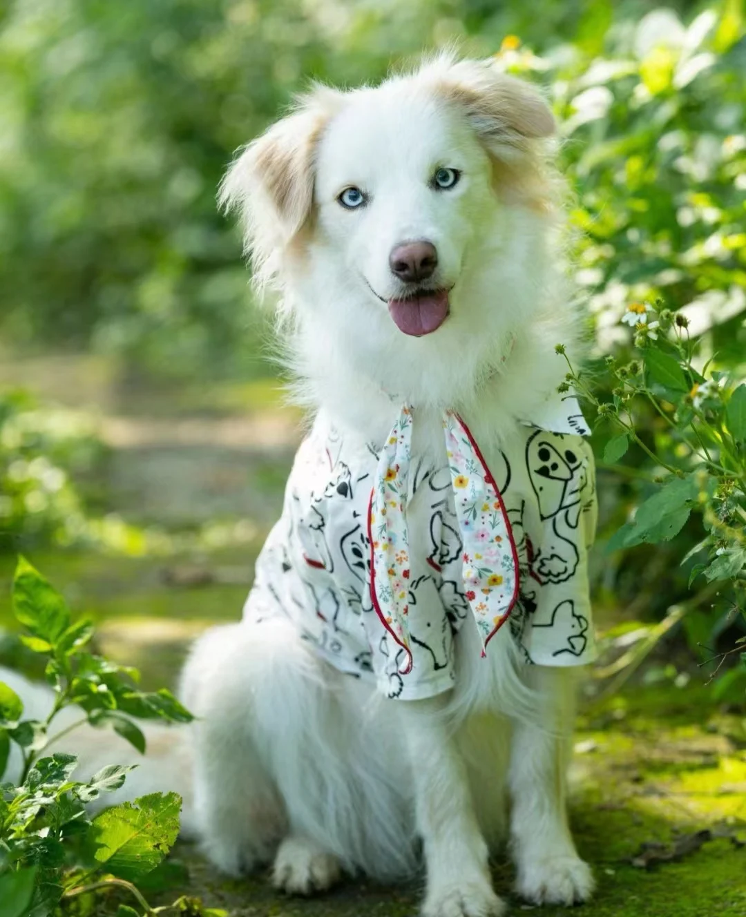 Breathable Pet Shirt for Summer - PeticaDeals