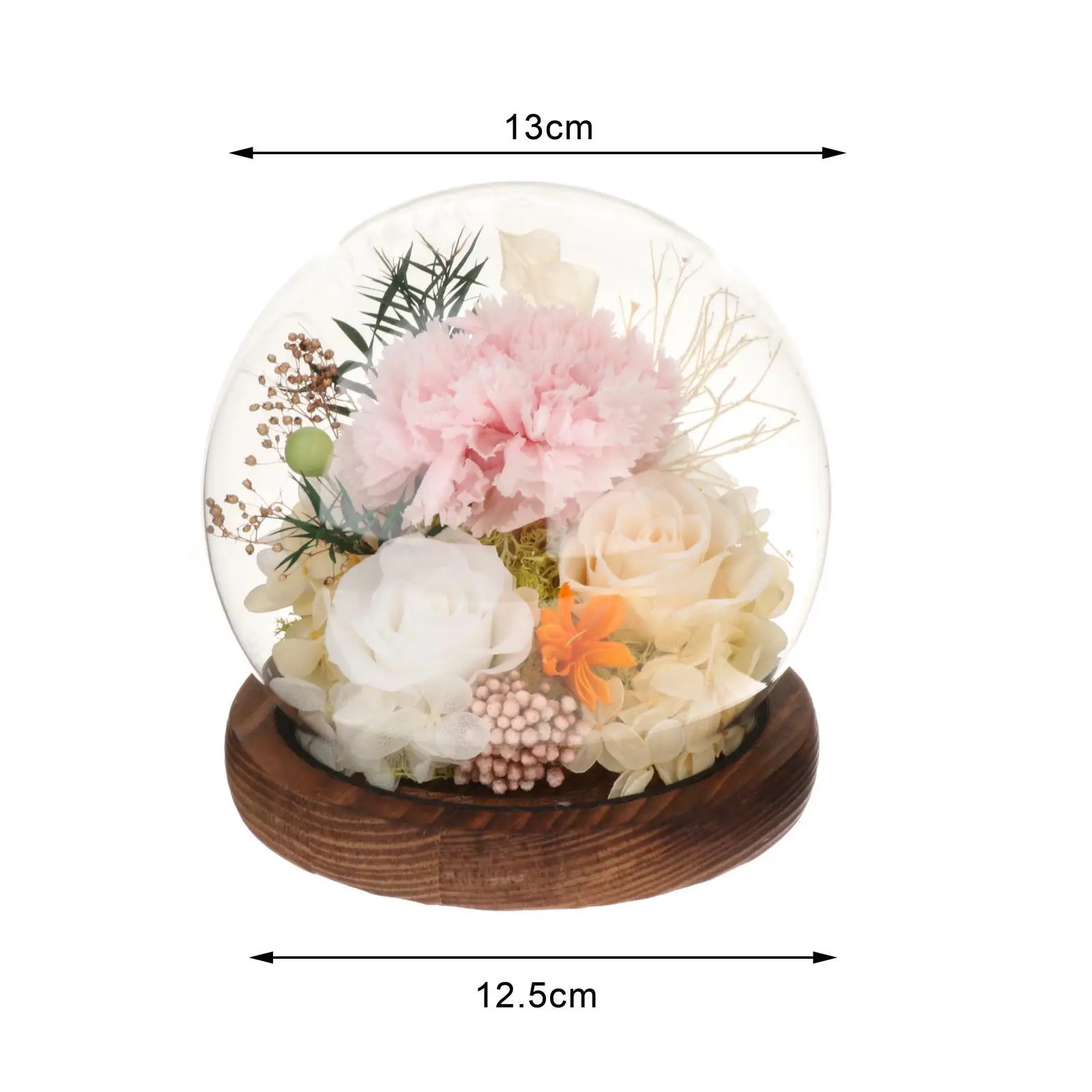 Preserved Flowers Gift with Light Unique Floral Gift Mothers Day Gifts Carnation Gift Women Real Flowers for Grandma Mom
