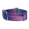 New 5mm Wide Pet Collar Gradual Change Color Traction Set Adjustable Nylon Dog Collar Supplies Medium and Large Dog Accessories 3