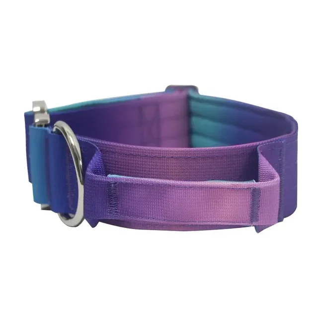 New 5mm Wide Pet Collar Gradual Change Color Traction Set Adjustable Nylon Dog Collar Supplies Medium and Large Dog Accessories 3