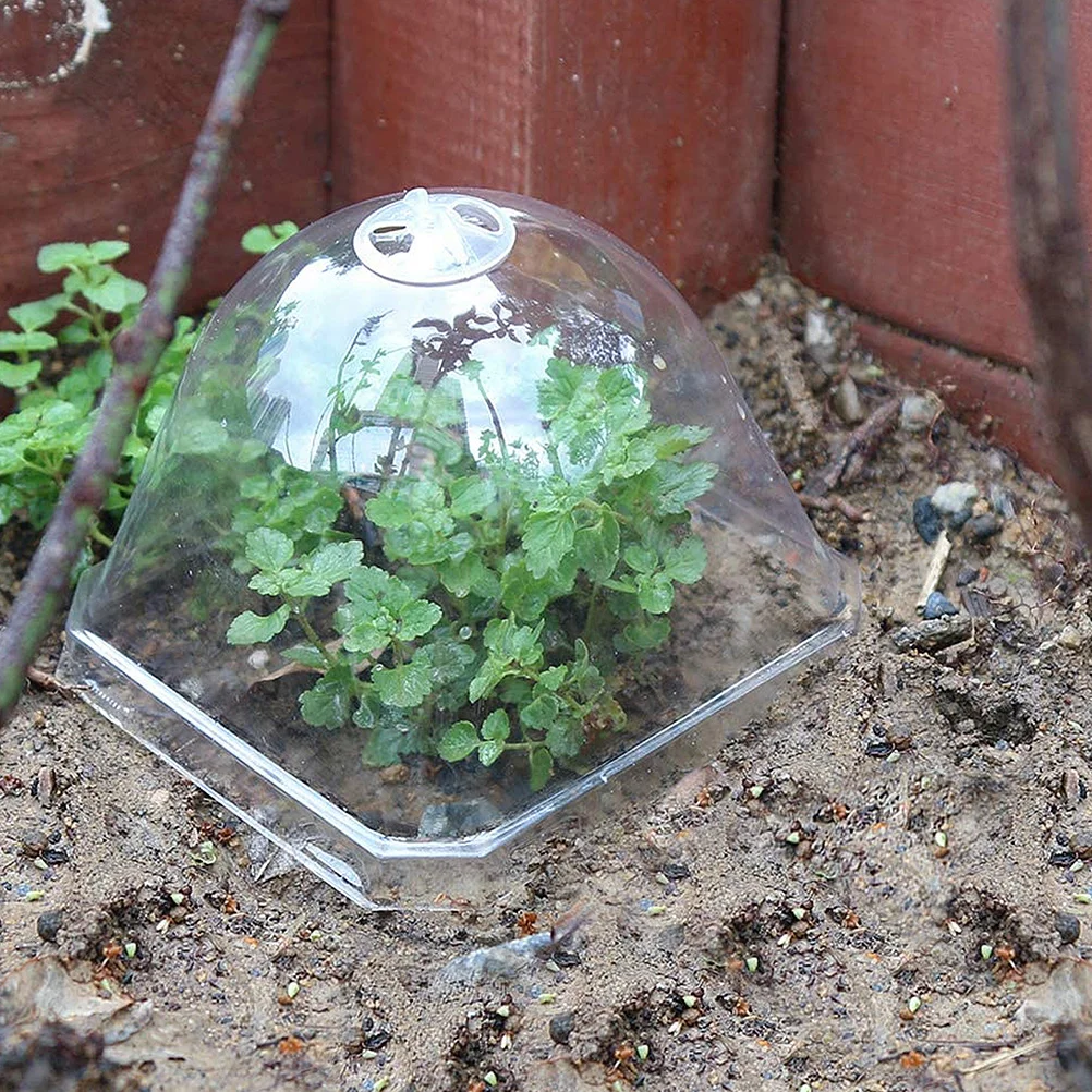 

10/15pcs Plant Nursery Protector Transparent Garden Protection Dome Gardening Tool Flower Pot Nursery Cover Stuffy Cover
