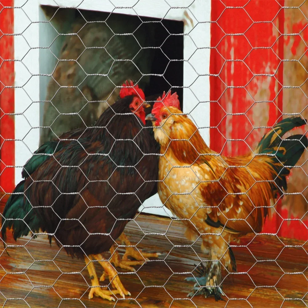 rolled steel chicken wire