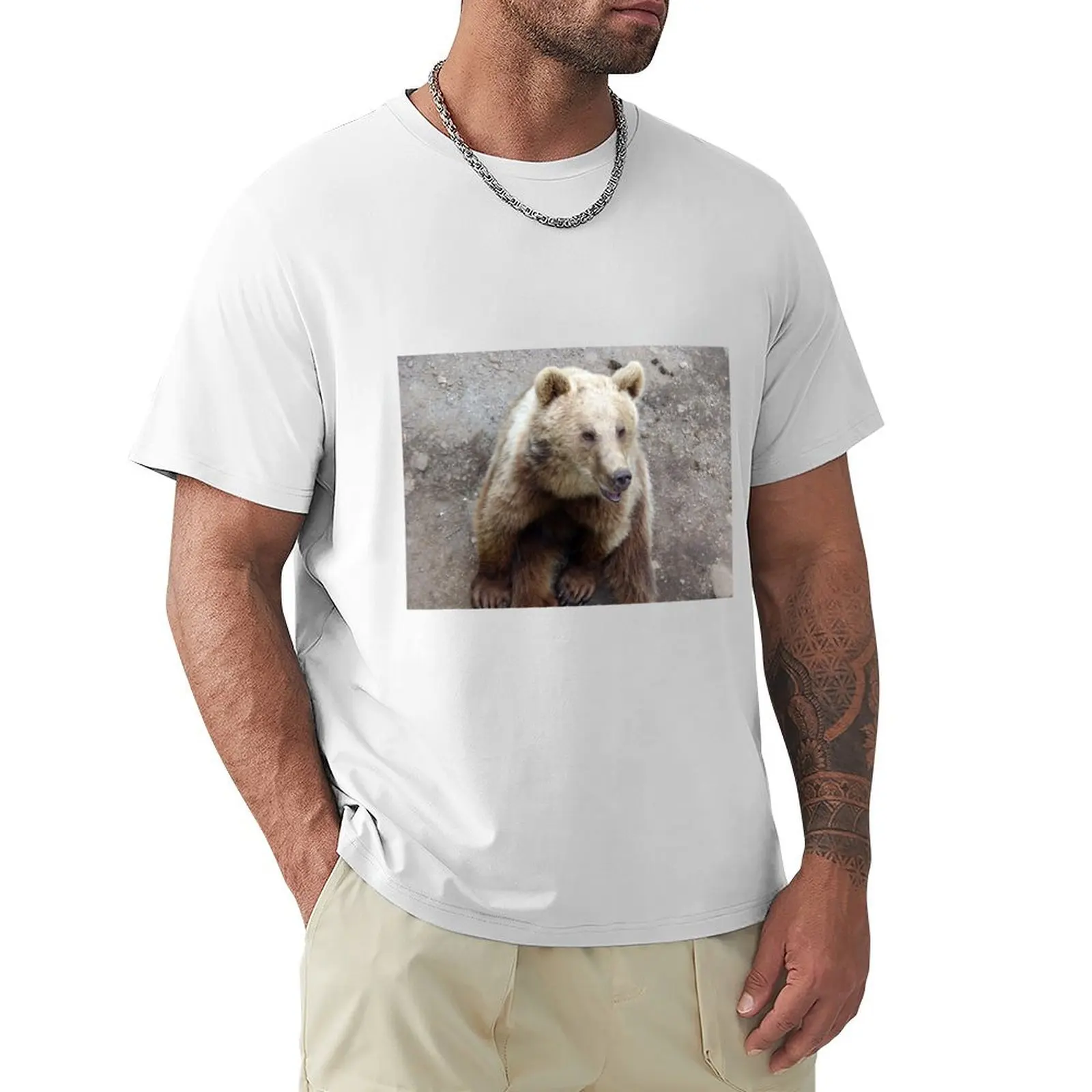 

Sitting Bear T-Shirt hippie clothes vintage clothes sports fans cute clothes mens tall t shirts