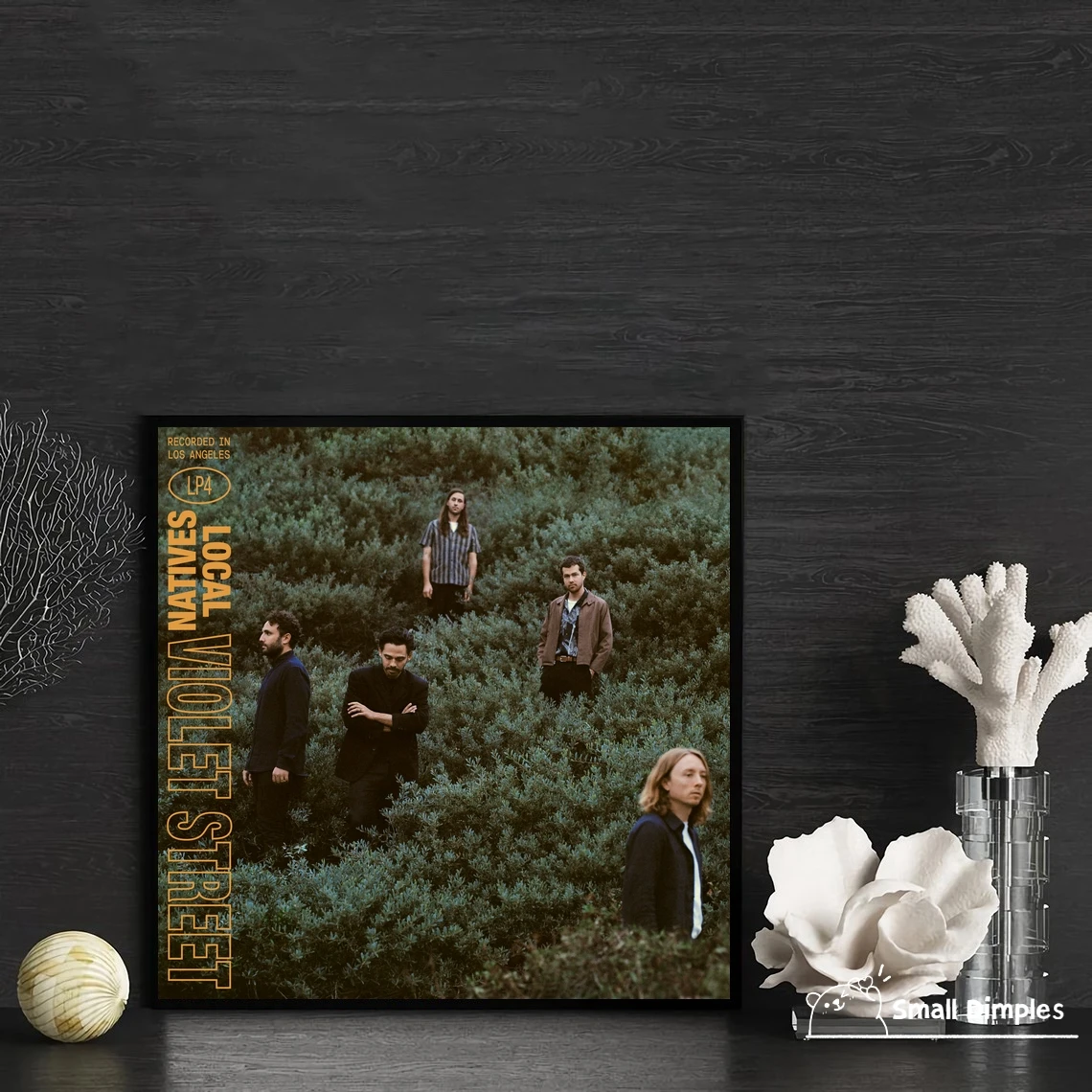 Local Natives Album Cover