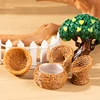 1Pc/1Set Dollhouse Miniature Simulation Fish Basket Basket Chair Table Furniture Model For Doll House Accessories Decoration Toy 2