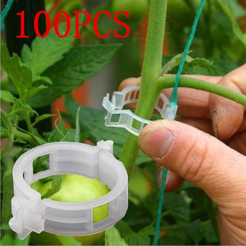 

Plastic Plant Support Clips For Tomato Hanging Trellis Garden Ornaments Twine Greenhouse Vegetables Plant Grafting Clips