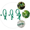 10-100pc Adjustable Plant Ties Flexible Garden Plant Ties Green Multi-Function Sturdy Garden Plant Twist Tie Plastic Garden Ties 4