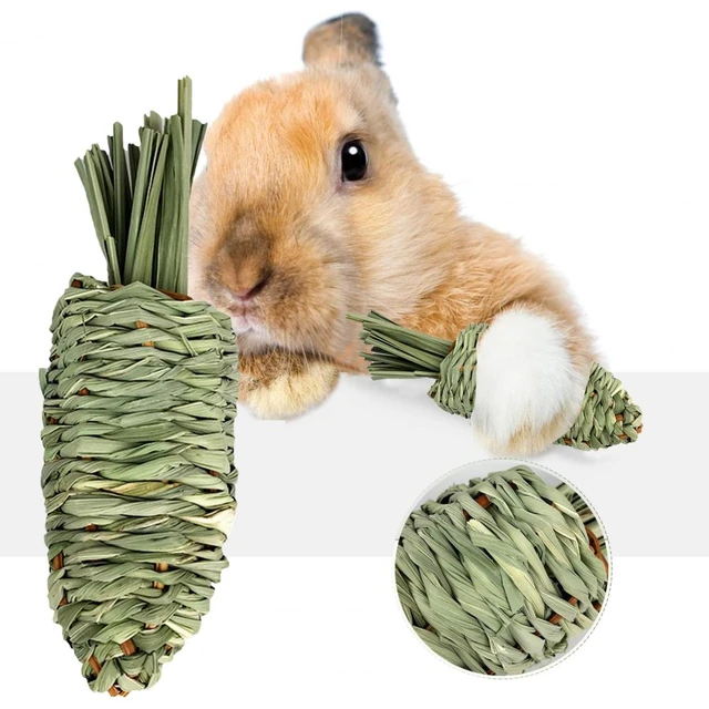 Juguete para masticar conejos, hierba Natural, zanahoria, Animal pequeño,  molienda, conejo, hámster, conejillo de indias, rata Gerbil - AliExpress