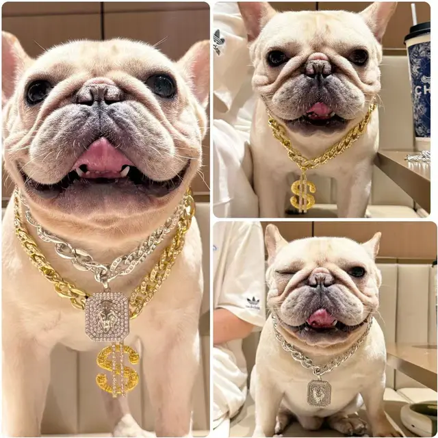 Fashion Pendant Dog Accessories for Cat Neck Wear Plastic Fancy Zircon Pet Necklace Adjustable Cosplay Small Medium Puppy Collar