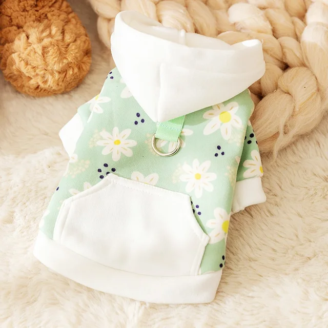 green-daisy