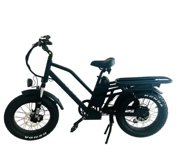 

Высокое качество 48 в 750 Вт Питание Бытовая доставка электрический велосипед Грузовой толстые шины с двойным сиденьем