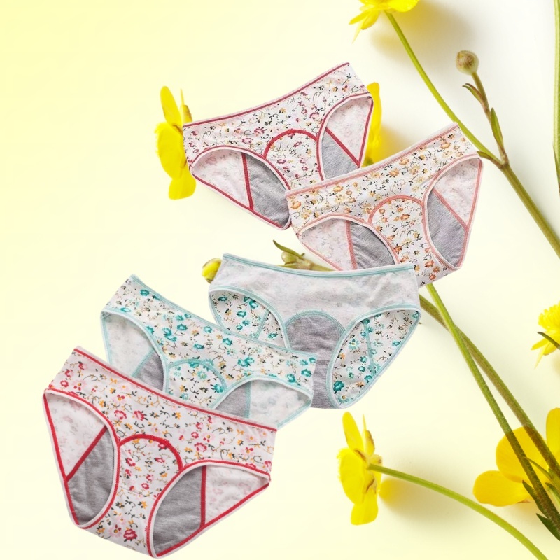 5PCS Leak Proof  Menstrual Women Panties Cotton Period Underwear Physiological  Briefs Breathable Solid Female Lingerie