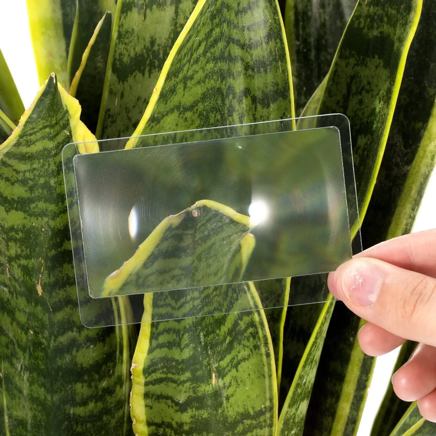 10pcs Pocket Fresnel Lens 3X Wallet Magnifier Lenses Brand Credit Card Magnifying Glass for Seniors Elders Reading Fire Starter 3
