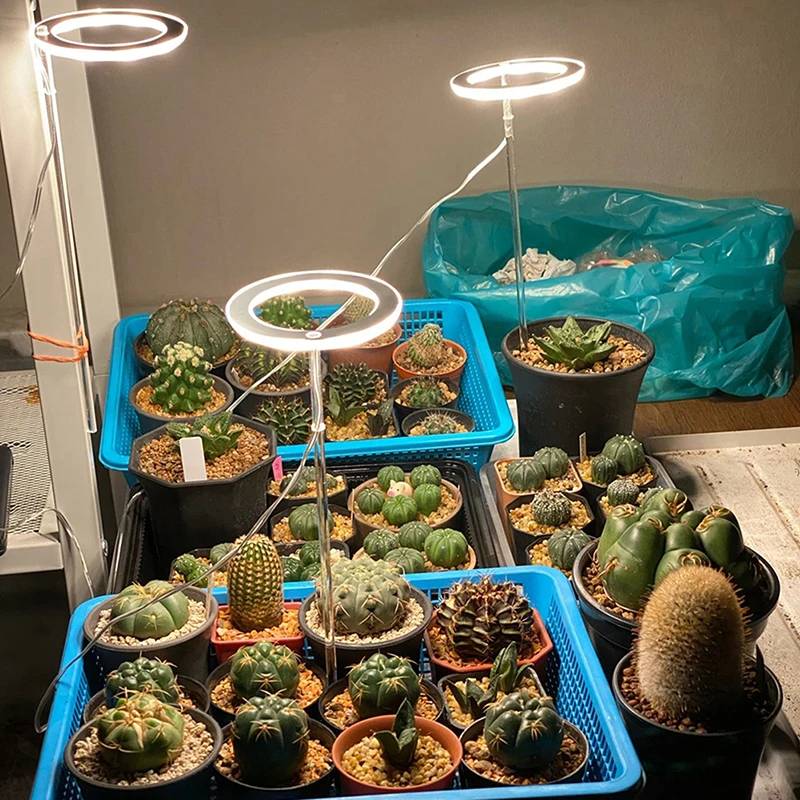 5V LED USB Plant Growth Light for Succulent Full Spectrum Plant Angel Ring Light Succulent Indoor Flower Greenhouse Seedling