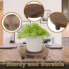 3pcs Wooden Display Riser For Display, Round Display Stand, Wood Riser Pedestal Stand For Home Decor And Organizer, Mother's Day 6