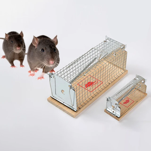 Mousetrap Rats Rodent Cage Trap Prevent Home from Mice Damage Cage for Home  Garden Garage Use Indoor Outdoor Rats Trap Rats Cage - AliExpress